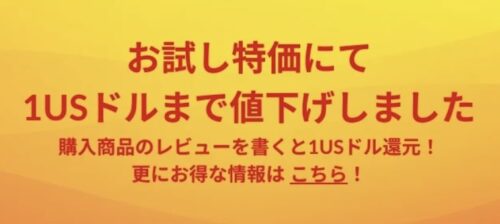 【iHerb(アイハーブ)】お試し実質無料キャンペーン【1_31まで】